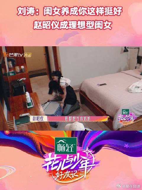 赵昭仪机场担任翻译，刘涛秦海璐齐夸赞