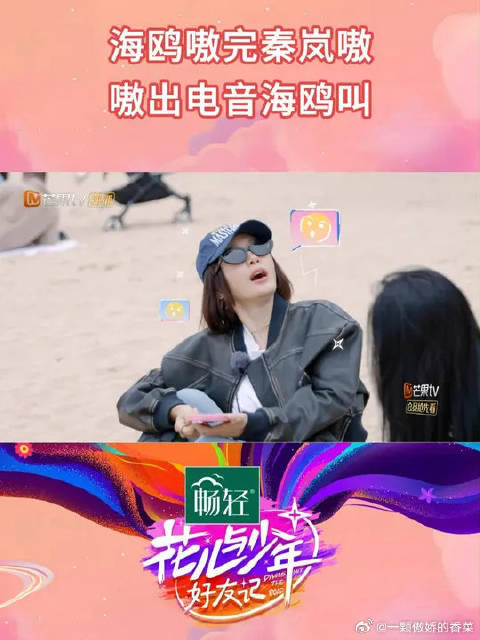 秦岚张瀚在海滩休息时，偶遇海鸥“挑衅”式的叫唤！…