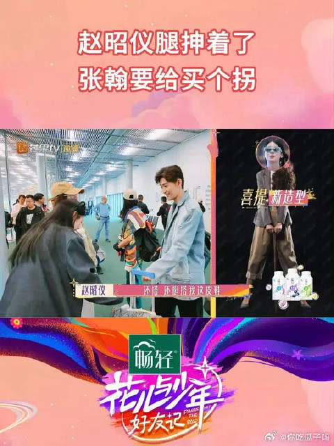 赵昭仪与秦岚聊天腿抻，张翰说法国买拐