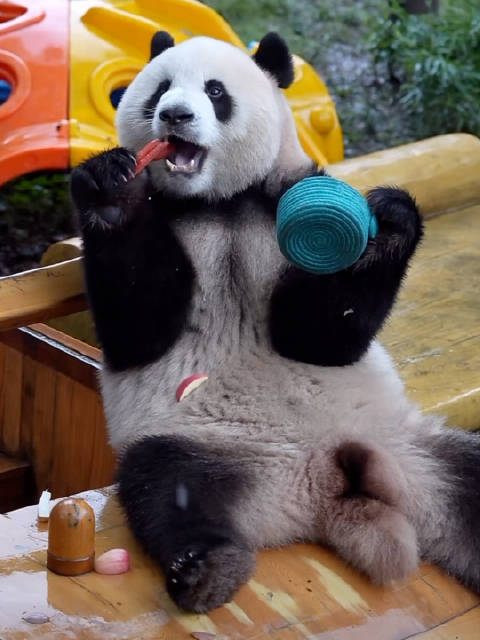 莽小五国庆豪车吃播，为长安启源打广告