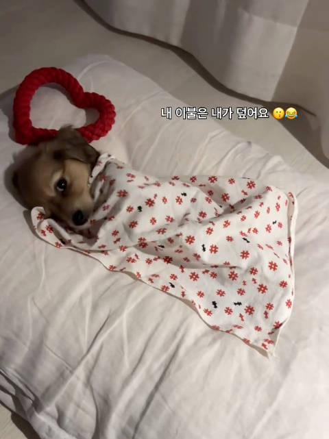 捷豹