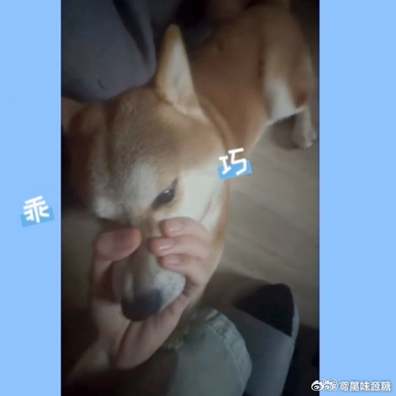 谁来救救我们的大呼安