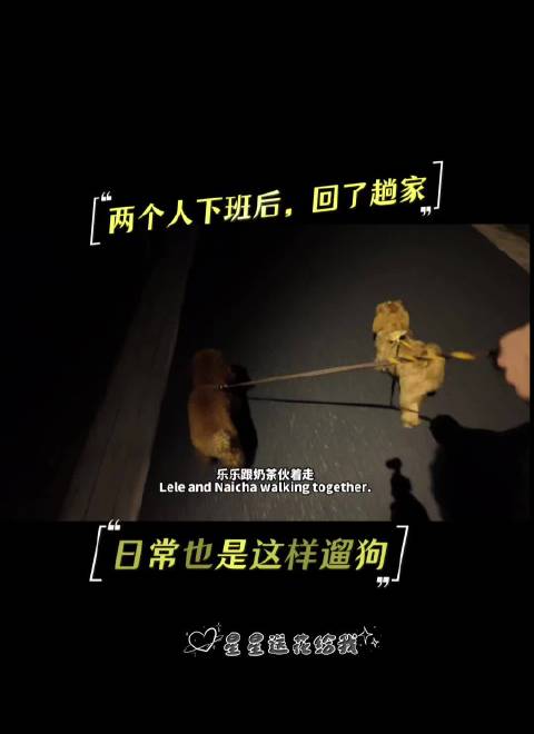江衡李沛恩白天公园拍照到天黑，回家换衣再带狗出门