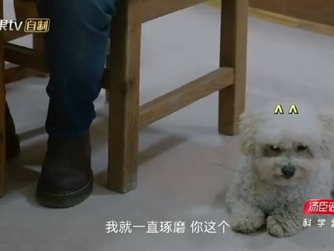 那英很想抱狗，又实在嫌脏，只能求他把狗狗带去洗香香