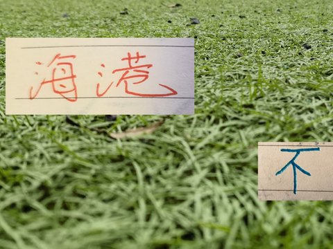 8场不败的海港！下周末迎战浙江 还能延续旺盛的势头吗？