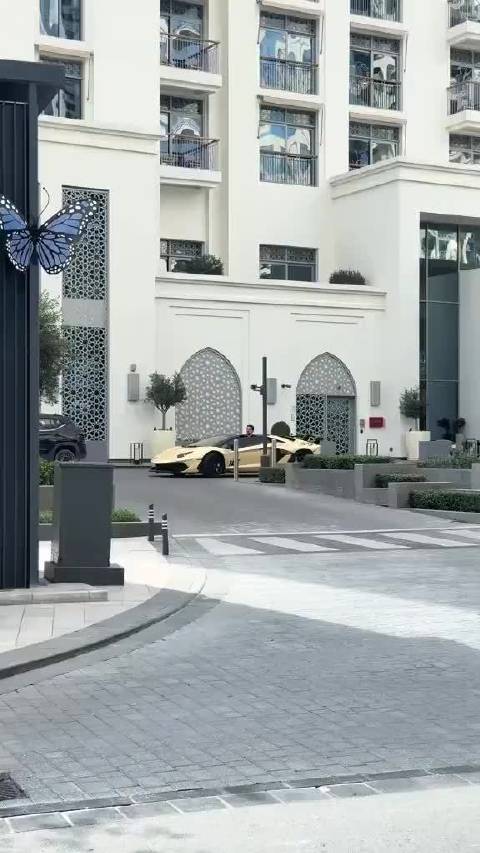 这是第一个在兰博基尼里失去气场的人