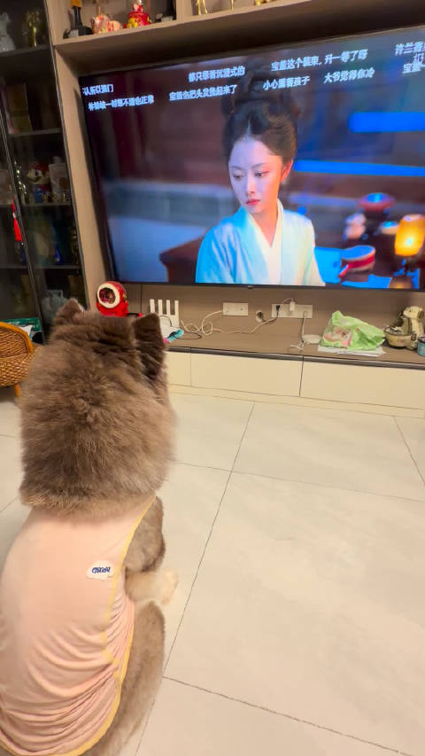 今天一个人在家，看完了功夫女足和给阿嬷的情书，一会儿笑一会儿哭