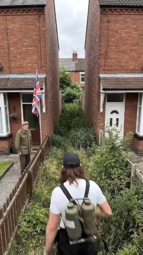 把不足十立方米的小花园改装成现代小屋