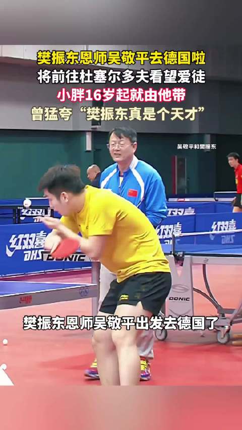 吴敬平飞抵德国看望樊振东，跨越万里赴师徒之约