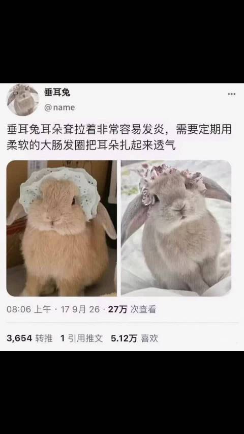只有自己可以拯救自己