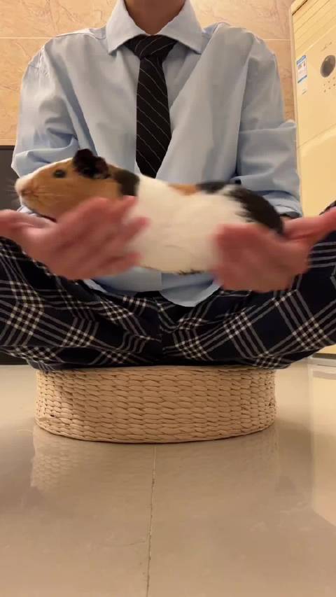 杰哥演奏丞哥