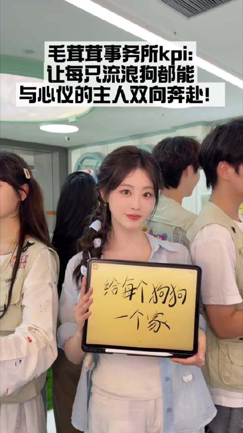 毛茸茸事务所 20261003 ‖ 毛茸茸事务所