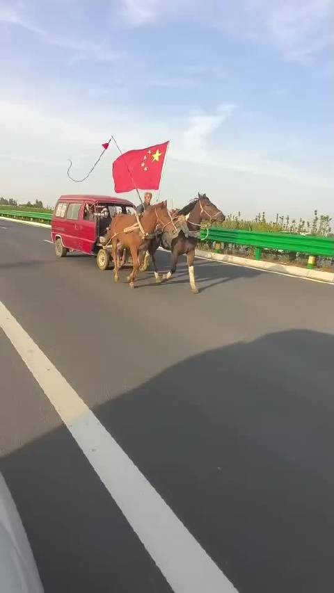 红旗马 想骑马的来吧 不错不错不错不错不错