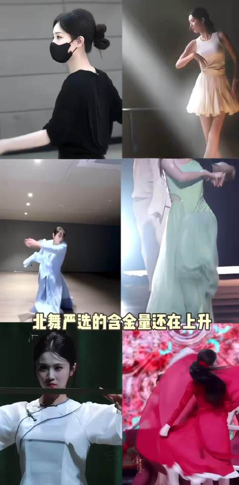 北舞严选的含金量