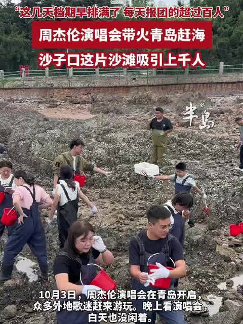 青岛故事｜周杰伦粉丝白天在青岛挖螃蟹