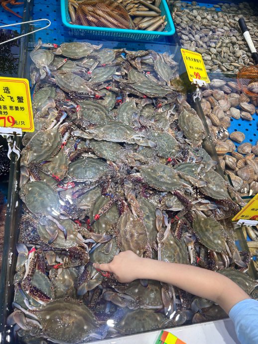大连暑假亲子游3天攻略，住这三家酒店就够了+FAQ