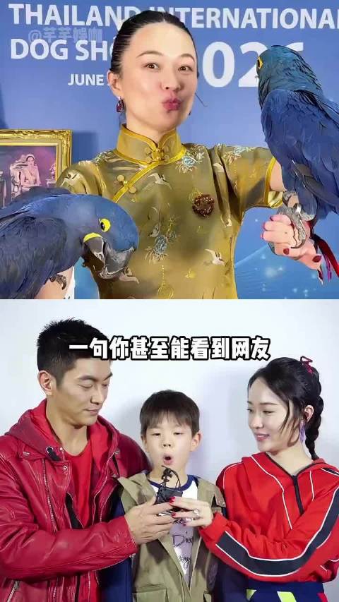 为何霍思燕被喊话当国足主教练？一句“御兽宗”宗主，霍家正式进入争气时代
