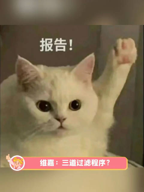 看维嘉直播真是幽默到“嘉”了