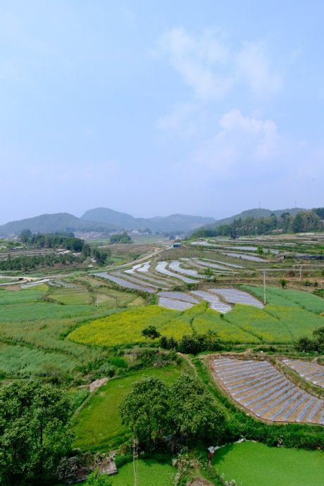 腾冲避暑攻略：为什么它是最值得躺平的夏日秘境？3个维度拆解+FAQ