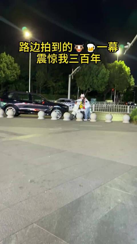 姑娘推电动车被石墩挡住，思考了半天决定搬走石墩
