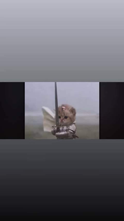 好萌好看可爱