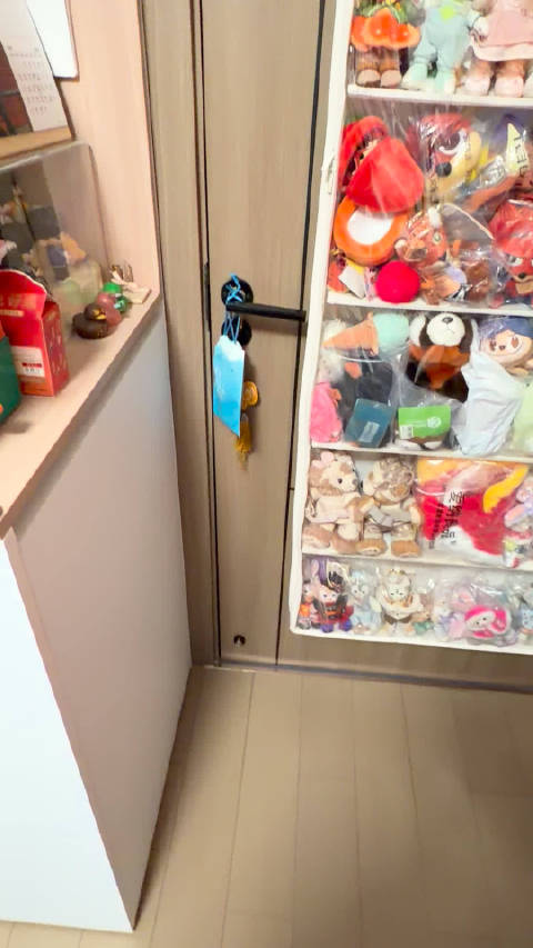 带冬冬穿新装备出门遛弯，跑跳自如