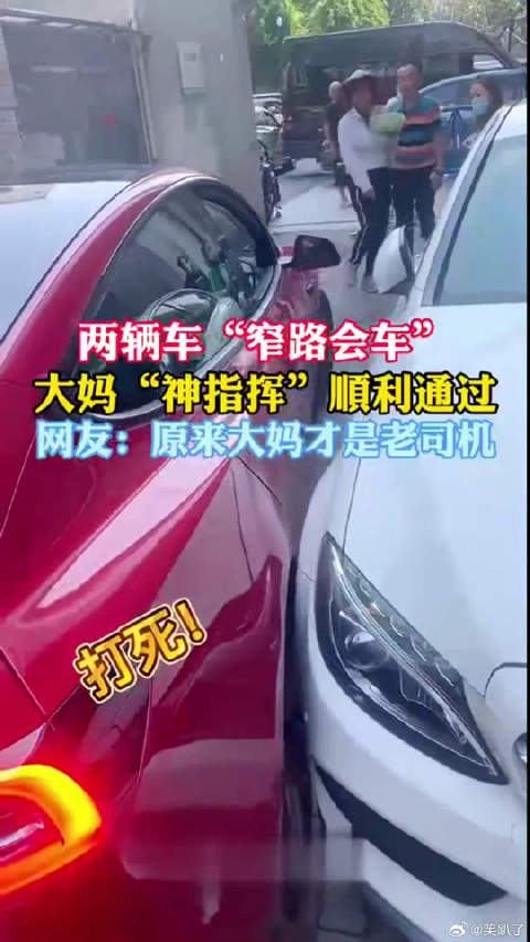 原来大妈才是老司机