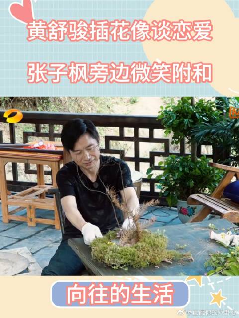 黄舒骏对待插花像对待恋人，张子枫在旁边微笑附和