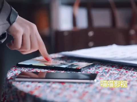 “我只需要一个真相”