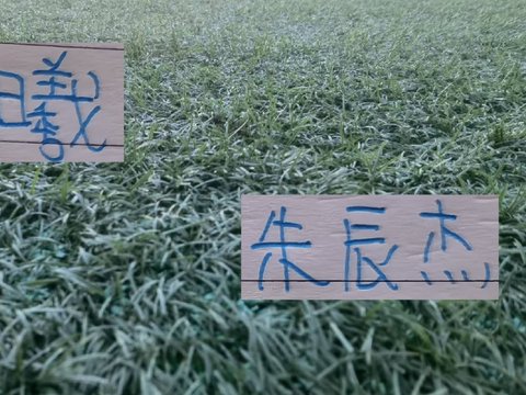 间歇期里 申花出场最长是吴曦+朱辰杰 间歇期里 申花出场最长是吴曦+朱辰杰