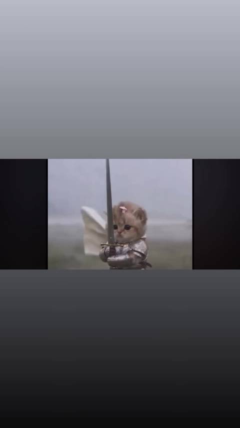 蔡徐坤