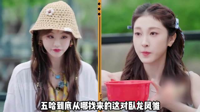 五哈卧龙凤雏综艺感爆棚，笨蛋美人实锤