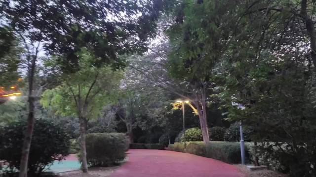 国庆假期最后一天，漫步公园回忆传祺M8旅行美好