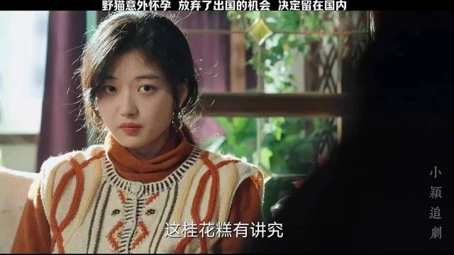 野猫意外怀孕，放弃了出国的机会，决定留在国内！“风吹半夏”