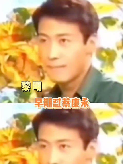 黎明早期也怼过蔡康永！鸭子！暗示对方是同X恋，好高招