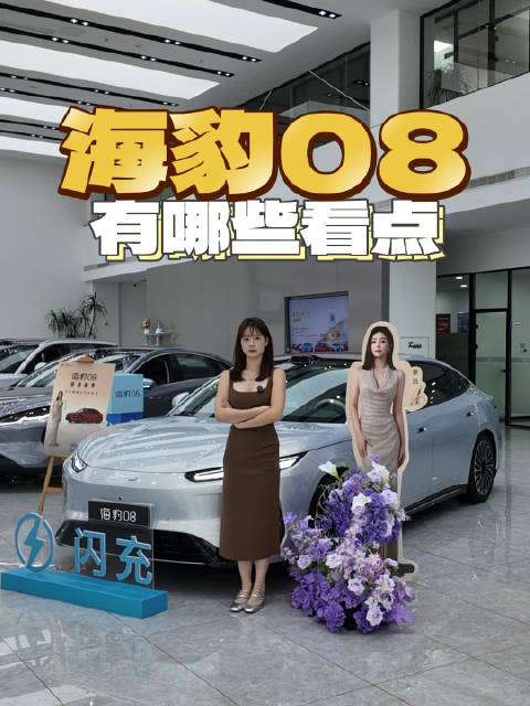 月销稳定过万台，插混与纯电均有！海豹08如何选？