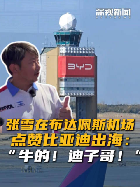 张雪在布达佩斯机场点赞比亚迪出海：“牛的！迪子哥！”