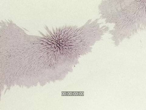 易烊千玺短片有三个章节 寻回 复活 共生 这三个章节有什么含义吗
