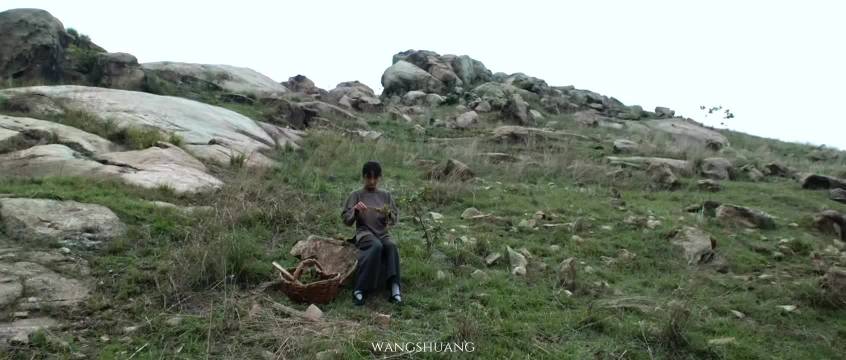 赵丽颖获飞天奖，网友盼杨幂也夺奖