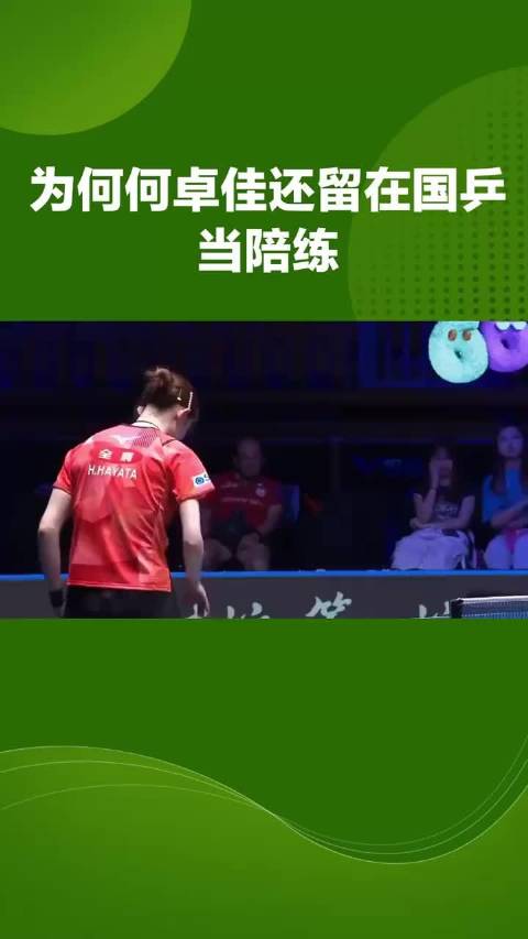 陪练年入十万难留人，德甲六百万高薪诱惑乒乓人才外流