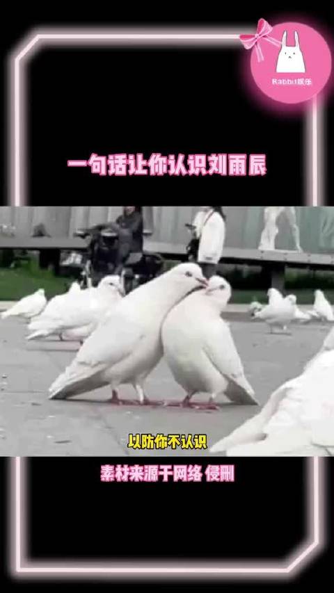 刘雨辰香蕉拜年拍队友屁股，黄雅琼李俊慧同框