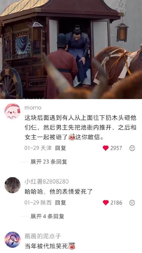 娇花 不兴碰喔 梦华录｜刘亦菲｜陈晓｜代旭｜电视剧
