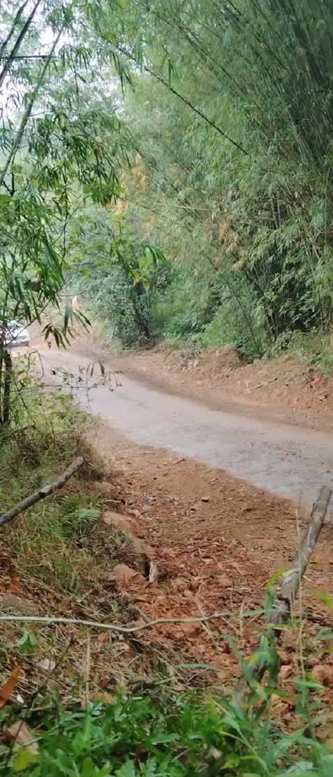 韶关拉力赛车手转弯打灯加油门过弯