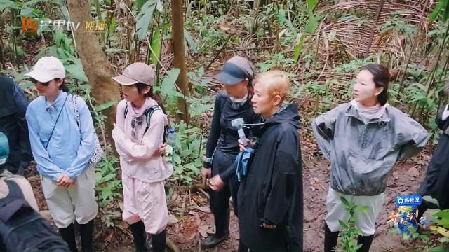 花儿与少年周冬雨闻蒜香藤直言人生完整