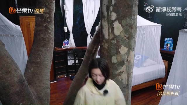 花少8亚马孙雨林树屋，林依晨周冬雨王可房中爬树