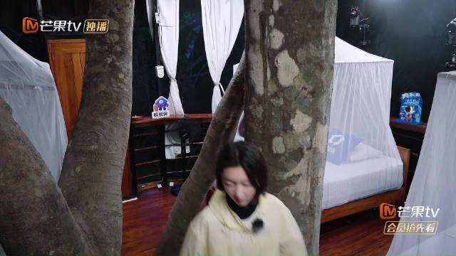林依晨周冬雨王可房间里爬树，三人搞笑互动