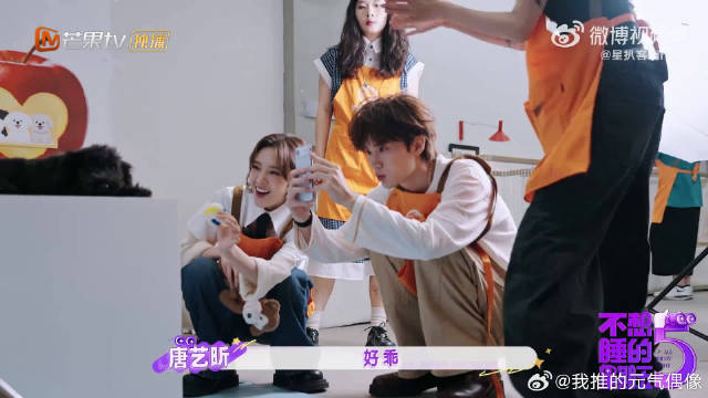 孙怡展现吸狗体质，小动物主动贴贴依偎
