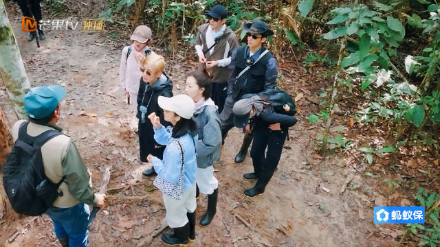 七福随行@吳君如大美女 @殷桃 @林依晨Ariel @周冬雨 @王可的围脖