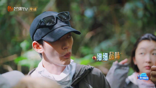 邓为雨林狼王血脉觉醒，反差模式切换惊喜