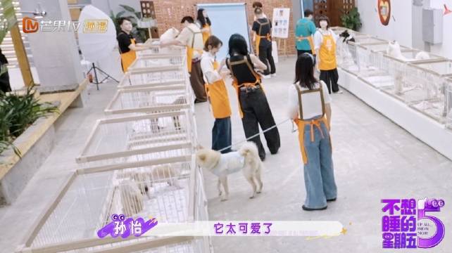 孙怡自带吸狗buff，小动物主动贴贴